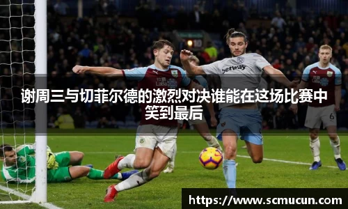 中欧体育